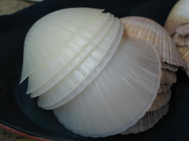 [CasquinhaSiri+003+(Small).jpg]