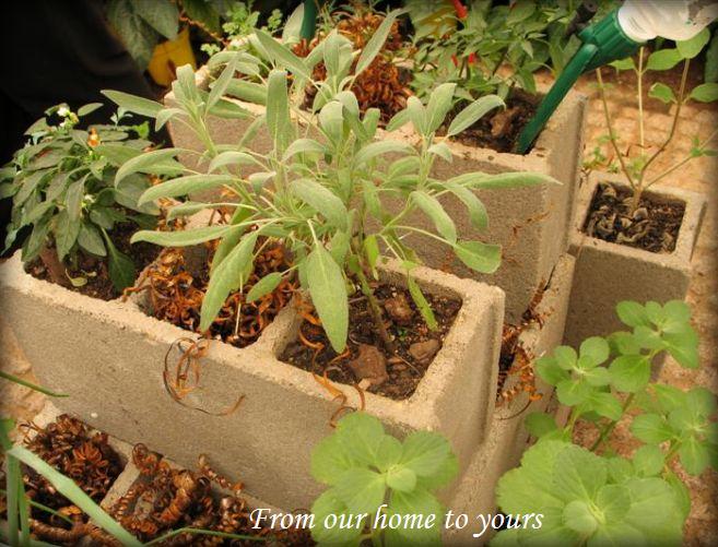 [Expoflora14set08+017+(Medium).jpg]