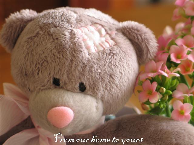 [GetWellWishesflower+007+(Small).jpg]