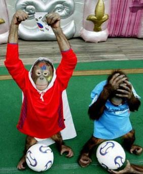 [soccer_orangutan.jpg]