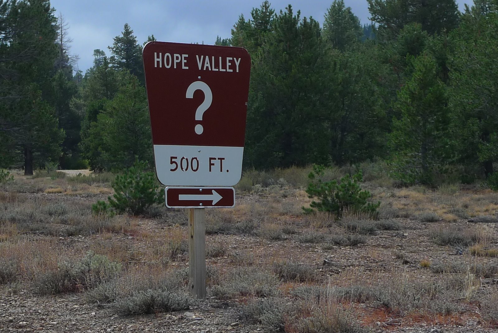 photowannabe: ABC WEDNESDAY LETTER " Q