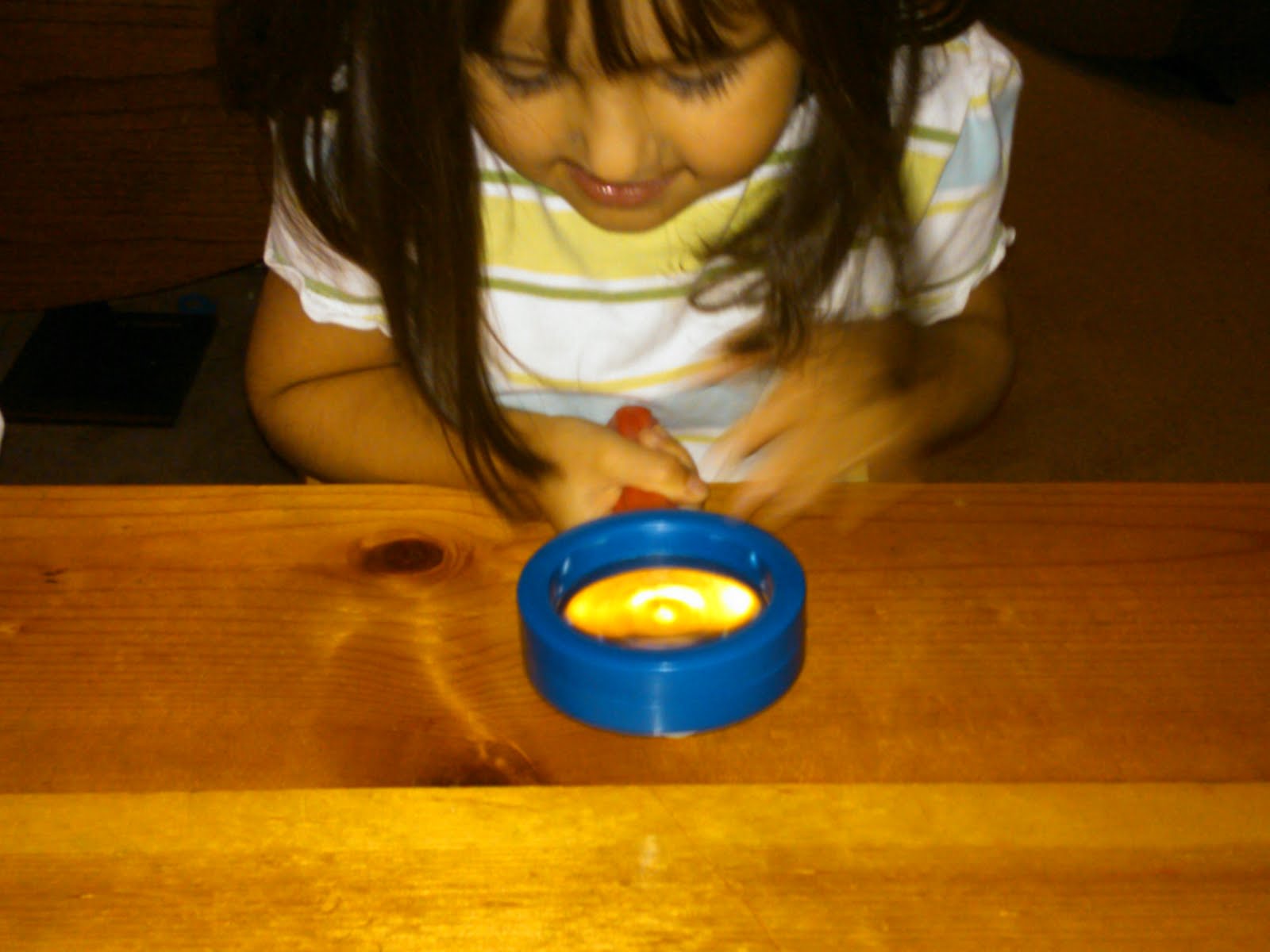 Krum Country School week 2 Science Lima Bean