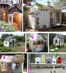 chicken coops coop funky chickens rabbits guinea pigs keeping dairy queen indulgy backyard collect crazy plans farm later want bullard