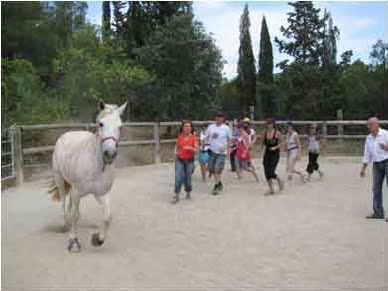 El Caballo es como un gran espejo de nuestro interior