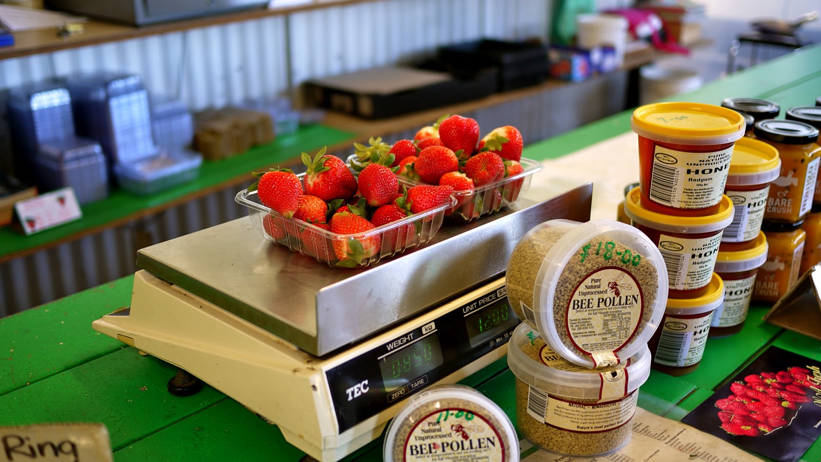 missfattyfoodie* Strawberry Picking at Wanneroo