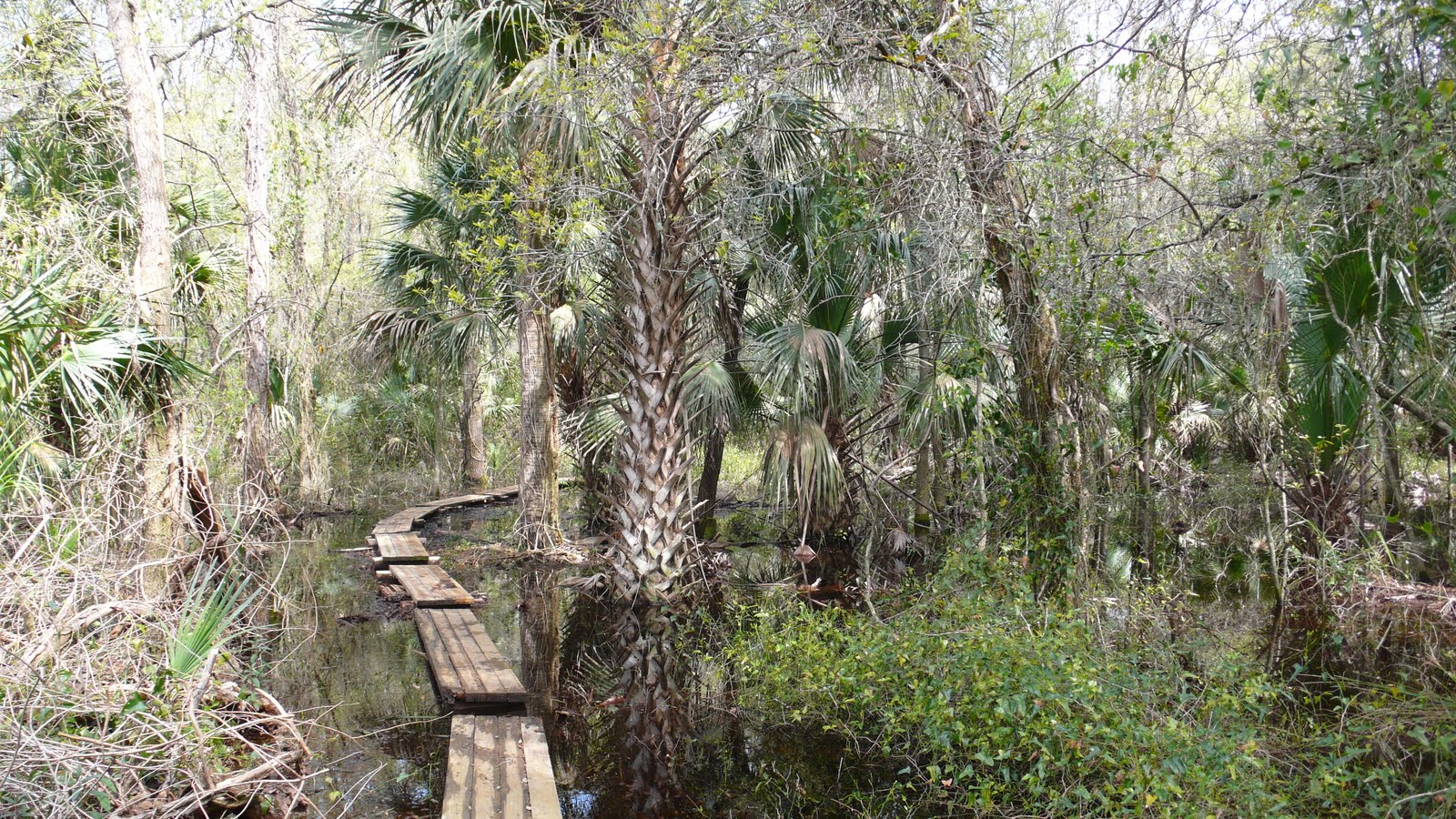 Legacy Trout Lake Nature Center