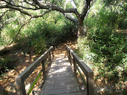 Wood Creek Trail