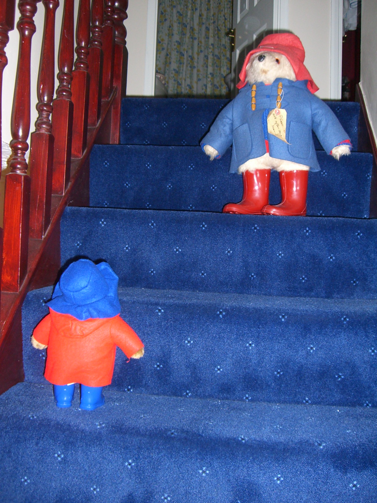 [Paddington+climbs+the+stairs.JPG]