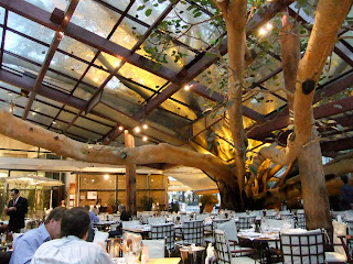 sUmsUm wOrld Figueira Rubaiyat, Sao Paulo, Brazil