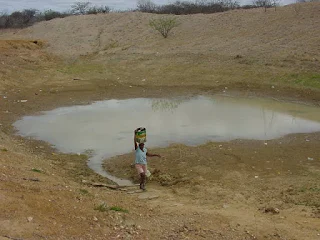 Fatos e Fotos da Caatinga: A coleta de água em barreiros