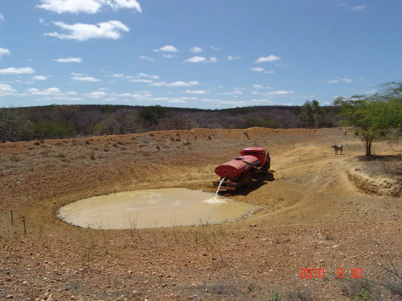Fatos e Fotos da Caatinga: Água de carro-pipa nos barreiros do sertão de  Pernambuco
