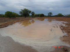 Água acumulada em barragem subterrânea após chuva na caatinga