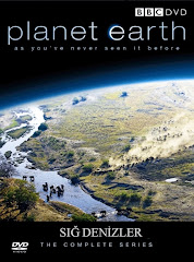 424-Yeryüzü Belgeseli - Planet Earth (2006) - Sığ Denizler Dublaj/DVDRip