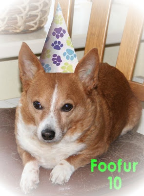 Foofur 10