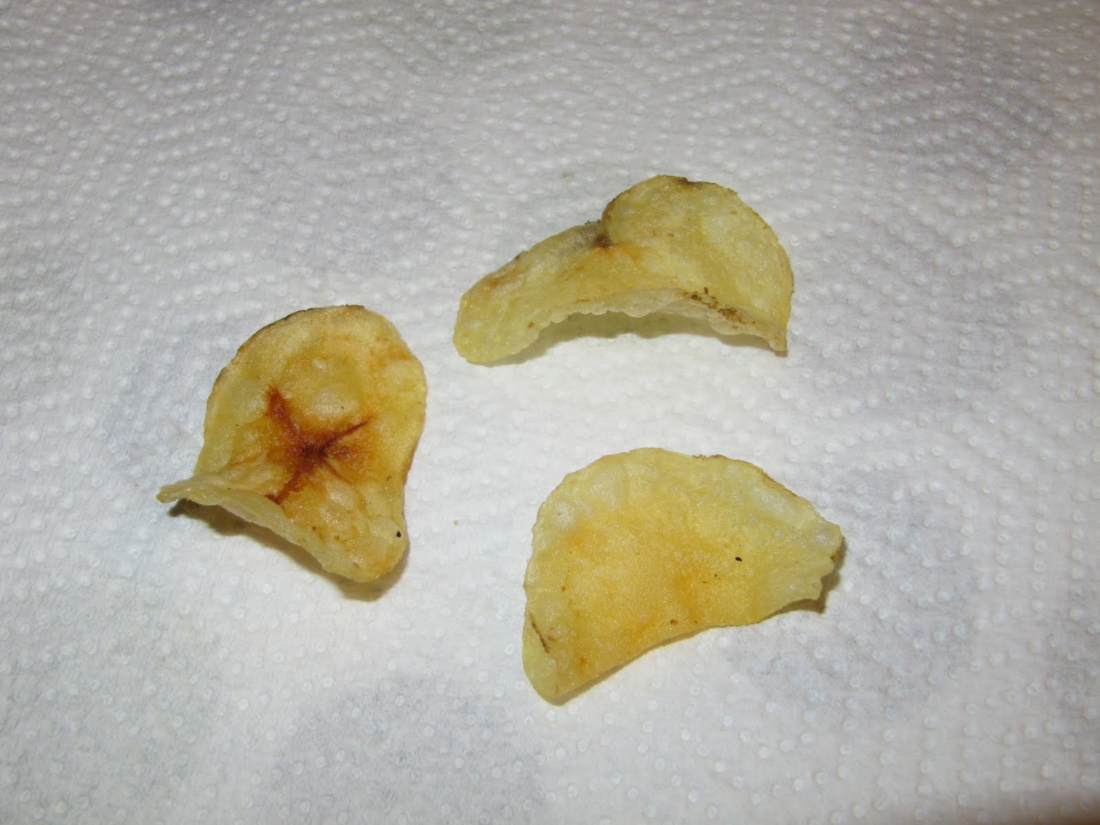 HowFresh EATS HowfreshEats Stacks (Potato) Chips Like Hebrews Vol. 9