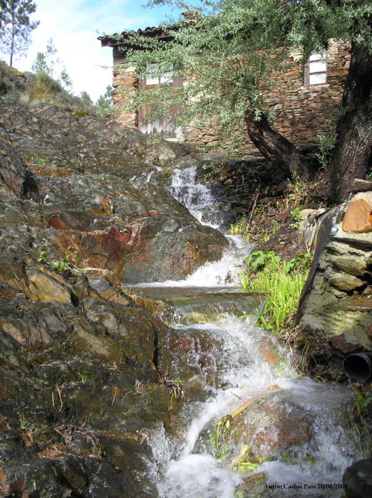 [Cópia+de+P4200223.JPG]