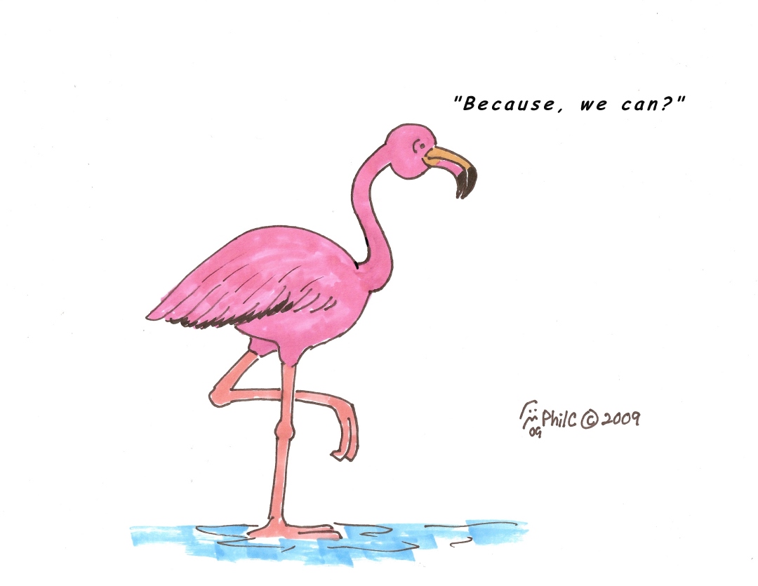 [Flamingo0001.jpg]