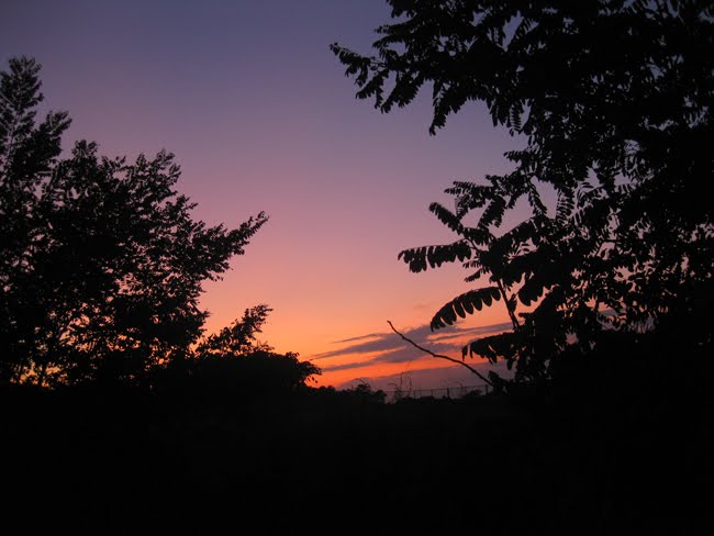 [6_Sunset.JPG]