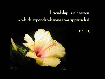 friendship quotes with flowers. good quotes for friendship.
