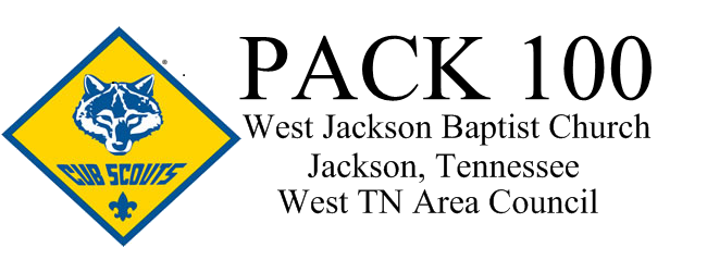 Pack 100