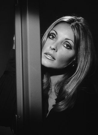 [sharon-tate1.jpg]