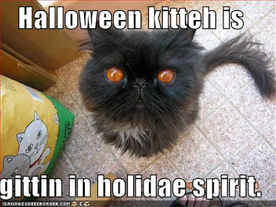 Halloween kitteh is gittin in holidae spirit.