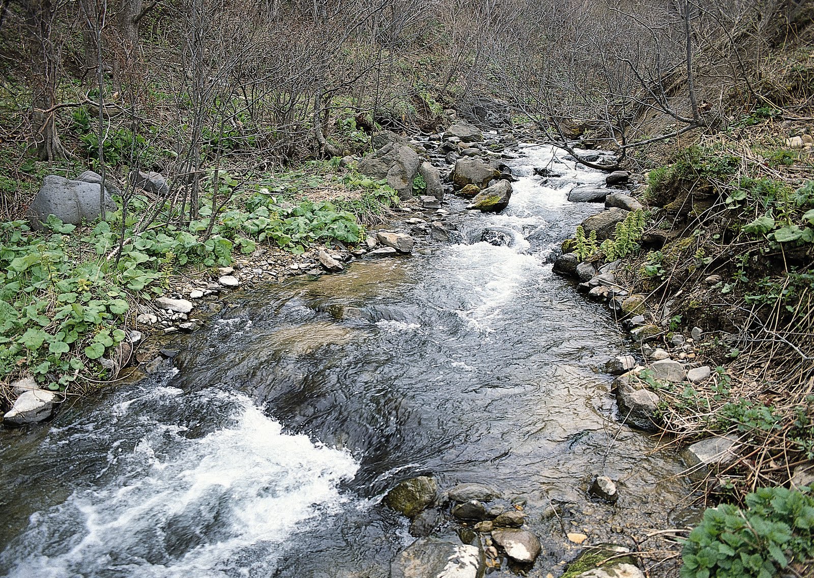 Free Image Bank: Ríos de agua viva