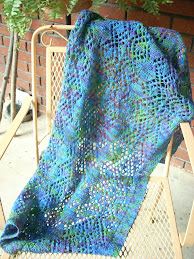 Tari's shawl