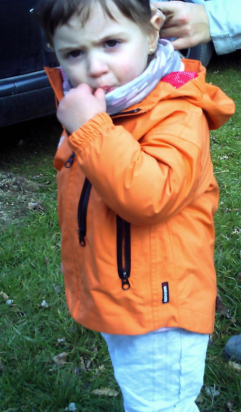 [PICT0070.JPG]