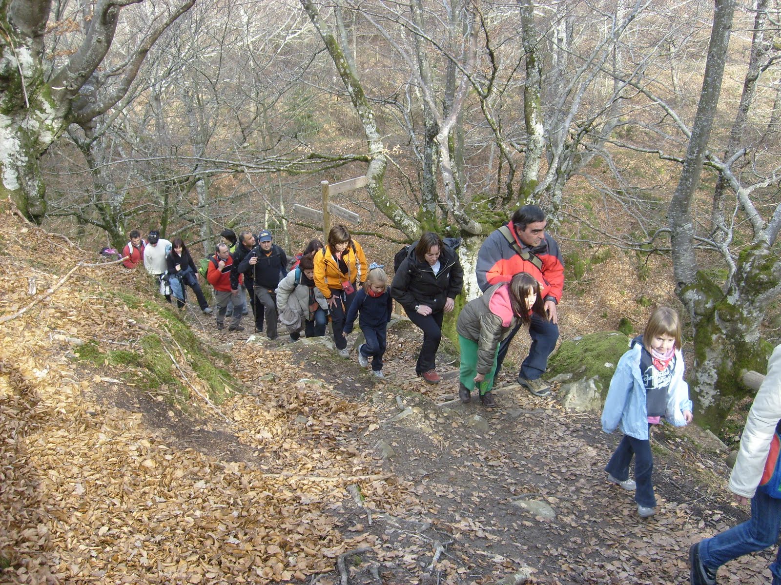 [S6300674.JPG]