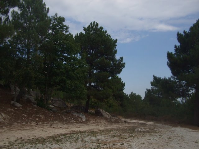 [DSCF2272.JPG]