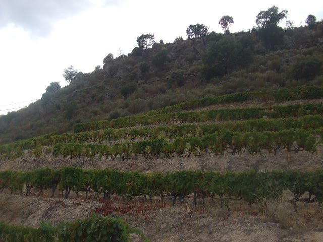 [DSCF2326.JPG]