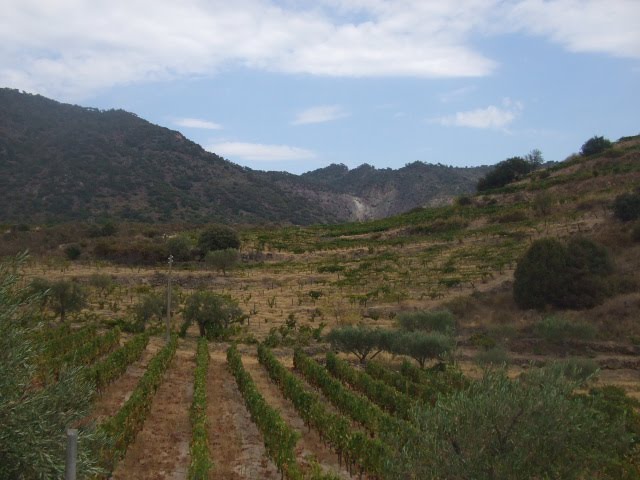 [DSCF2324.JPG]