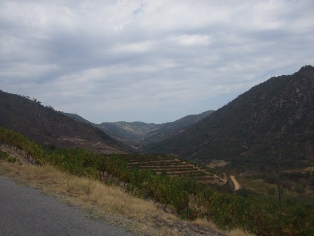 [DSCF2321.JPG]