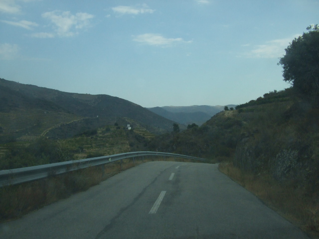 [DSCF2314.JPG]