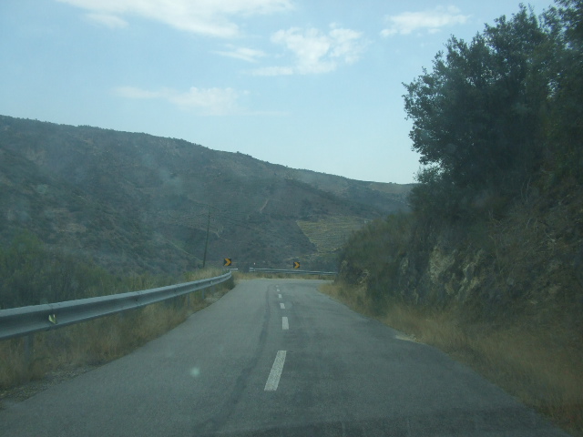 [DSCF2310.JPG]
