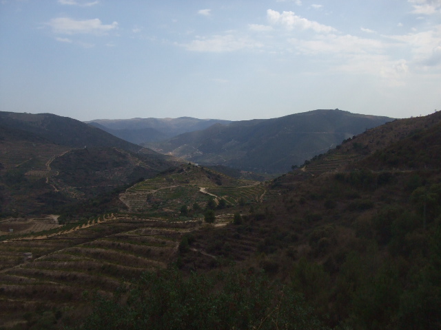 [DSCF2309.JPG]