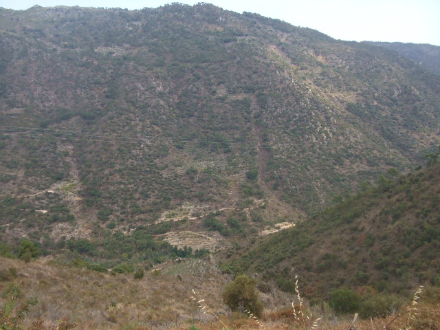 [DSCF2291.JPG]