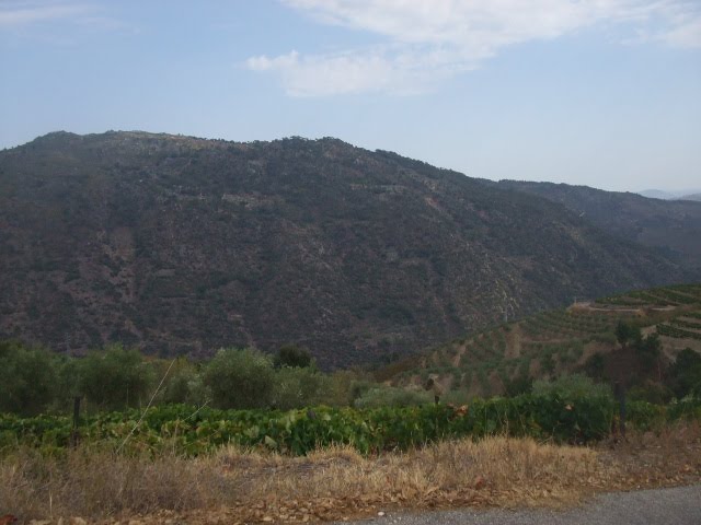 [DSCF2288.JPG]