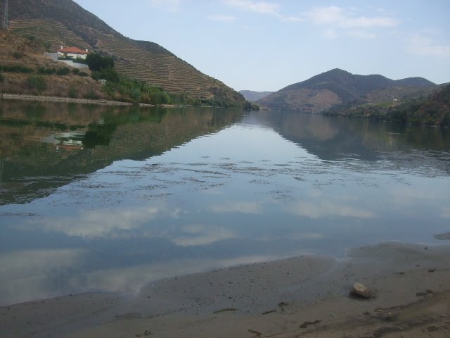[DSCF2383.JPG]