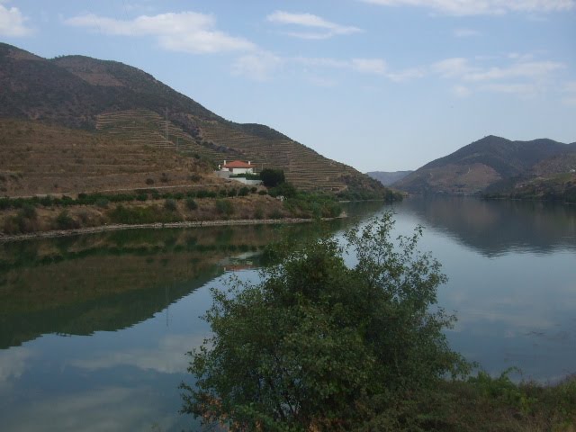 [DSCF2379.JPG]