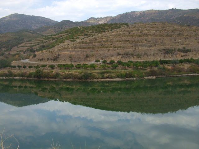 [DSCF2378.JPG]
