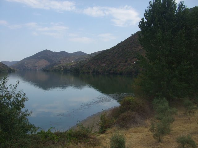 [DSCF2376.JPG]