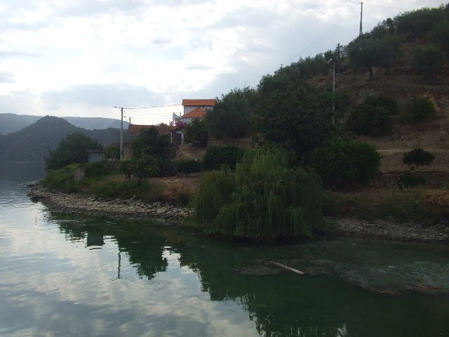 [DSCF2368.JPG]
