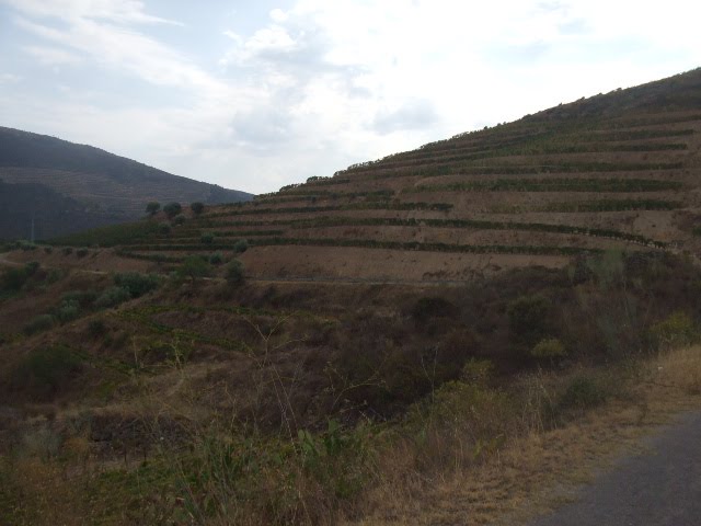 [DSCF2353.JPG]