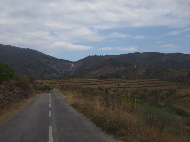 [DSCF2352.JPG]
