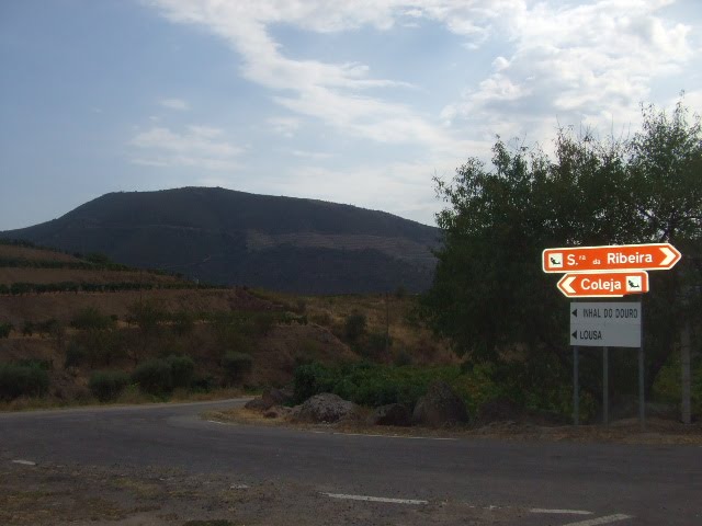 [DSCF2347.JPG]
