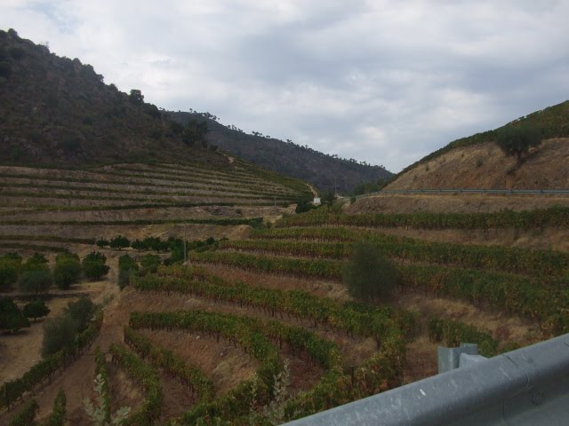 [DSCF2334.JPG]