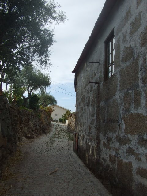 [passeios+126.JPG]