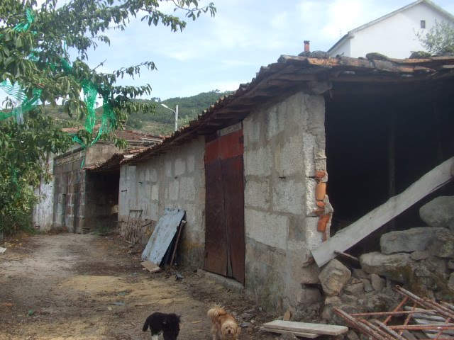 [passeios+120.JPG]
